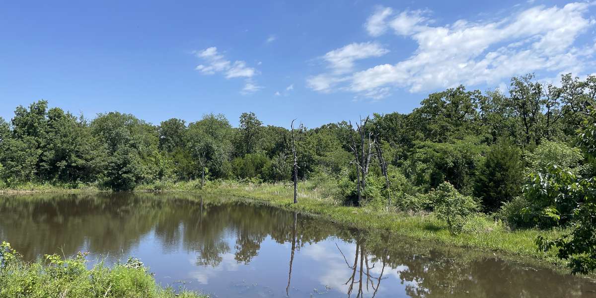 3 Sisters Pond