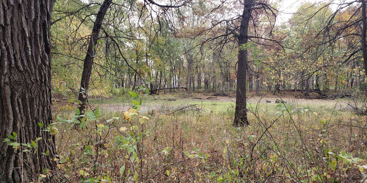 The Grove National Historic Landmark Wetland (Back 70 acres)