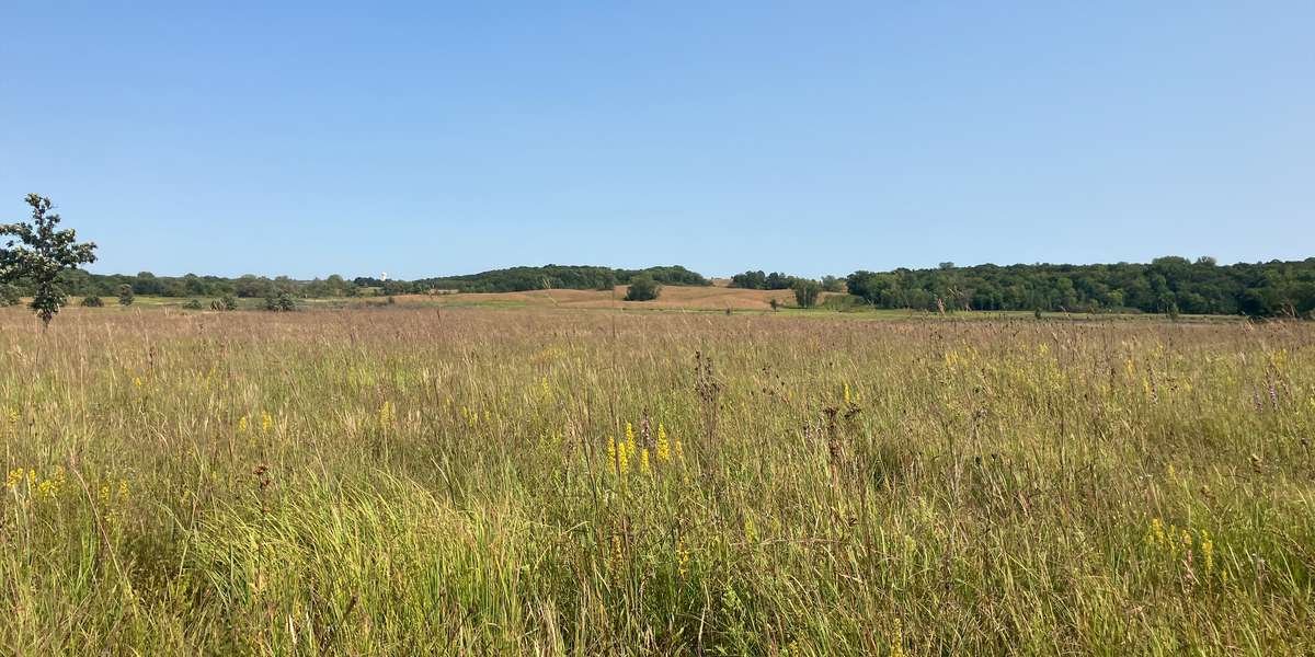 Crow-Hassan Park Reserve – North Twin Wetland