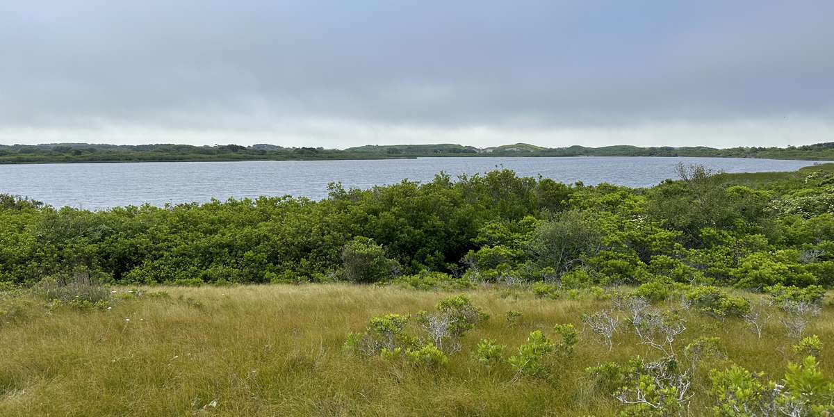 Featured photo of North Head of Long Pond