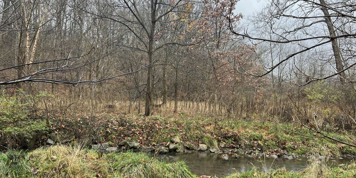 Nine Mile Run -- Fern Hollow Creek Channel