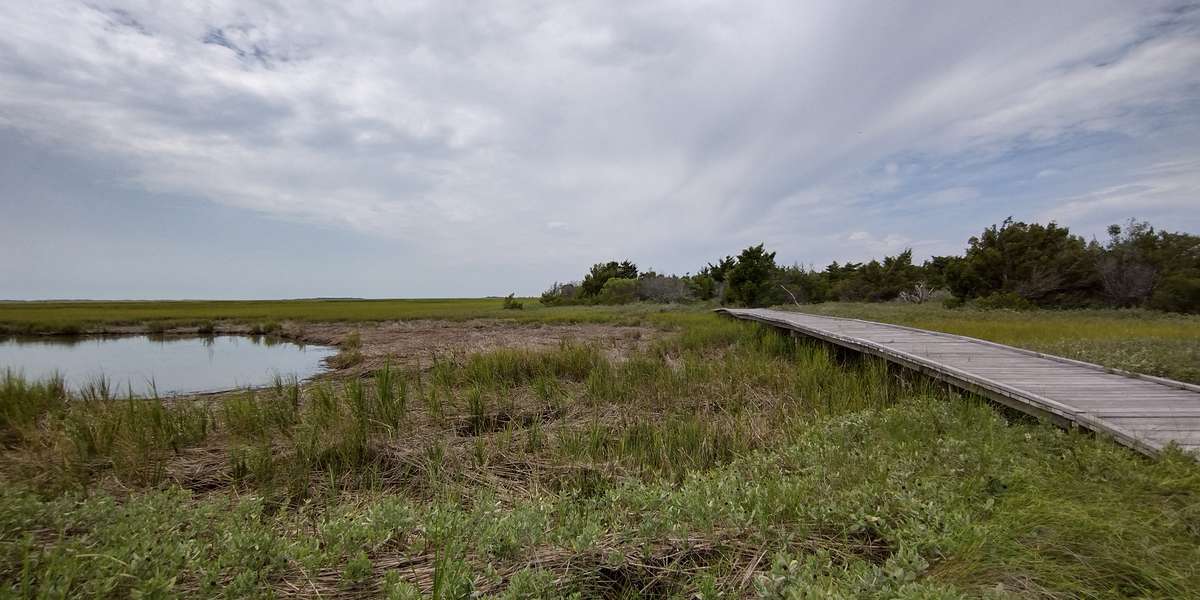 Featured photo of Fort Fisher State Recreation Area - Basin Trail