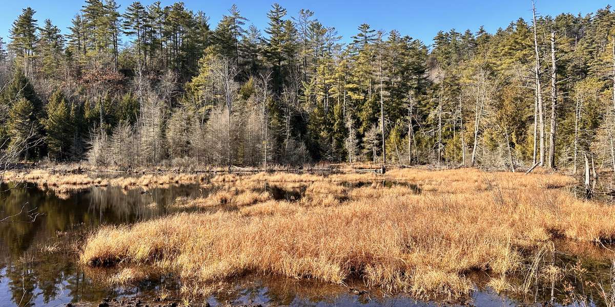 Eagle Mountain Wilderness Preserve