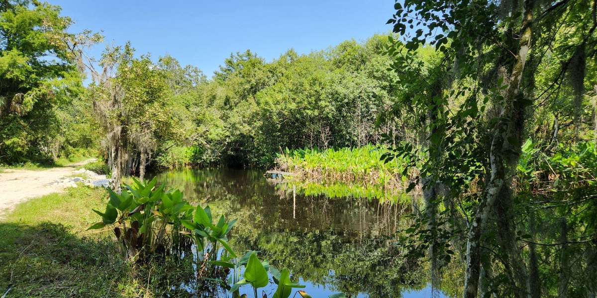 CREW Bird Rookery Swamp - Ida's Pond