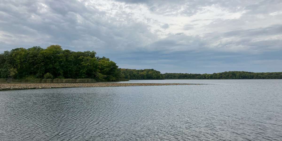 Gale Woods - Whale Tail Lake at Canoe Launch