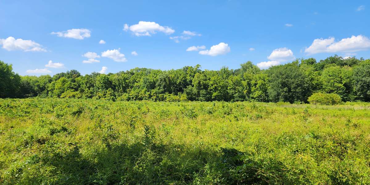 Sharon Woods Metro Park