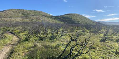 Natural Features & Ecosystems - Point Reyes National Seashore